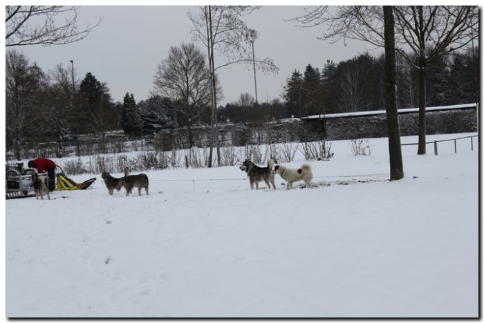 Grenzlandtour I 013.jpg